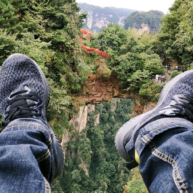 a lifetime trip to the land of "Avatar"! 