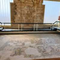 Paphos mosaics 