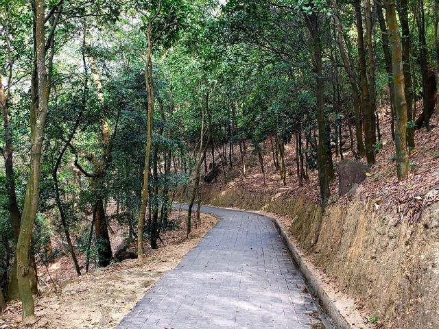 Yunti Mountain ⛰ | Stairway to Paradise!