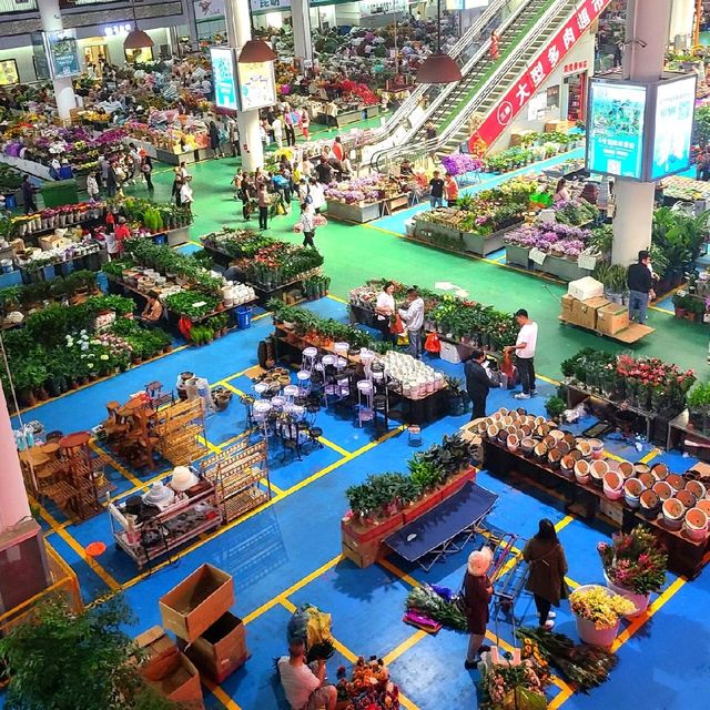 The wonders of Yunnan- Flower Market, Kunming