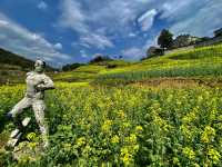 Rape Seed Flowers in Minshengcun, Pujiang