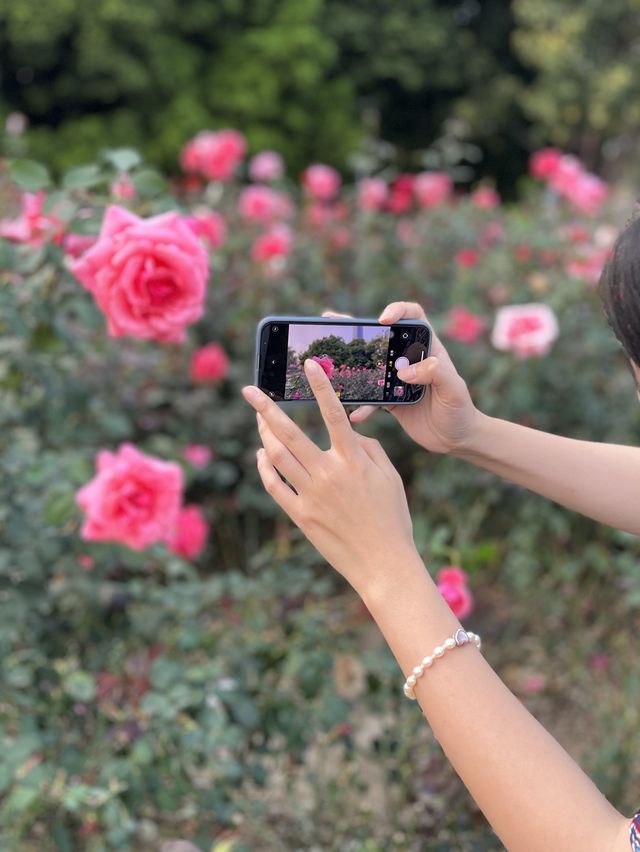 See the flowers blooming in Guangzhou City