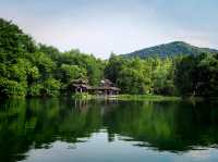 WEST LAKE: humanity and nature’s reflections