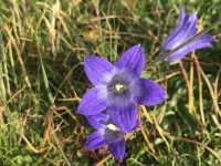 Mount Aragats - Hiking - The beginning