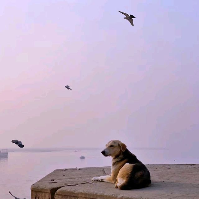 Magical Sunset at Varanasi's Ganges River