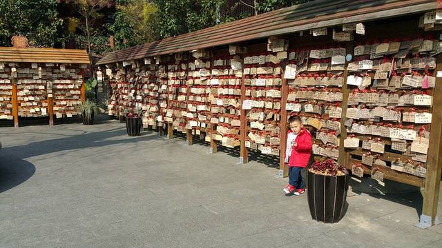 深圳東部華僑城 