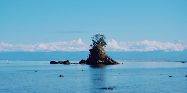 Japanese niche coast · Amagihama coast