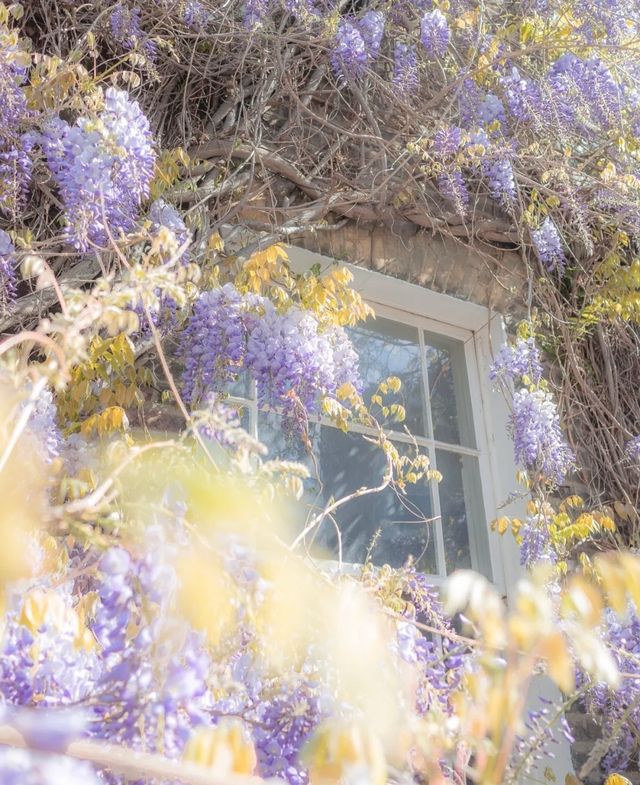 London, UK | Strolling through the streets of Notting Hill in the acclaimed film "Notting Hill"