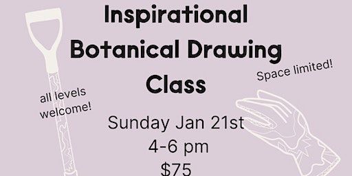 Inspirational Botanical Drawing Class with Liza | Plant Shop 805