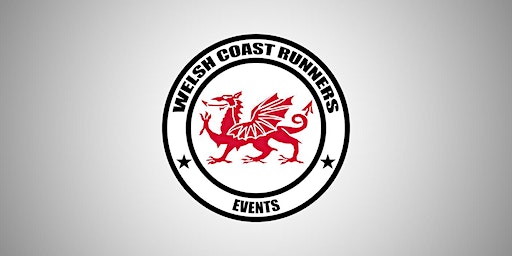 WCR 20 mile run | HYVE Llanelli