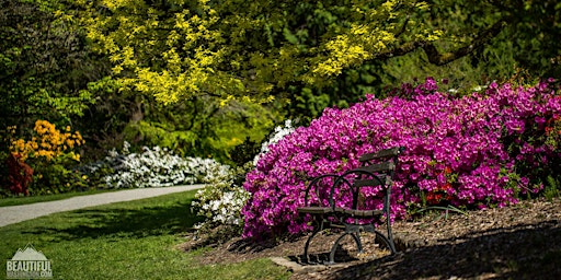 PAWA Paints Washington Park Arboretum - 2024 | Graham Visitor Center