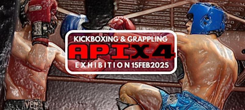 APIX4 - Kickboxing & Grappling Exhibition | Academix Academy Fort Erie
