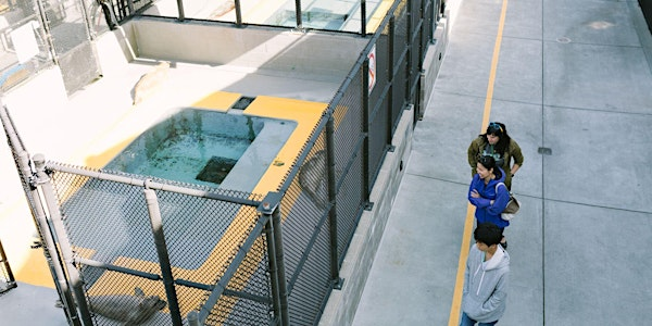 Behind-the-Scenes Experience at The Marine Mammal Center | The Marine Mammal Center