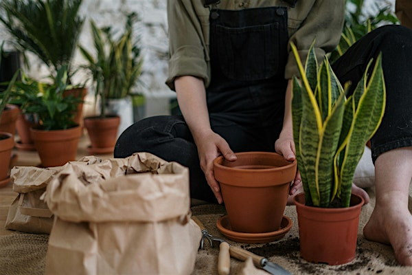 Indoor Houseplant Care and Plant Swap! | Fifth Season Gardening Co.