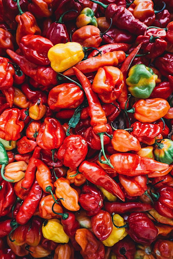 Pepper School | Shiloh Farm