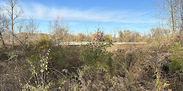 Marsh Restoration and Clean-Up Event | Parking Lot P for McMaster University