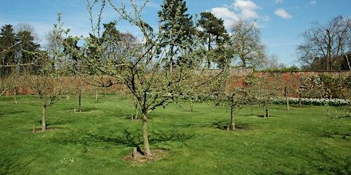 Summer Fruit Tree Pruning | Darts Hill Garden Park - Maple Activity Center