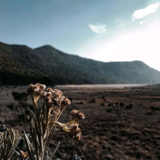 Hiking Mount Gede Pangrango