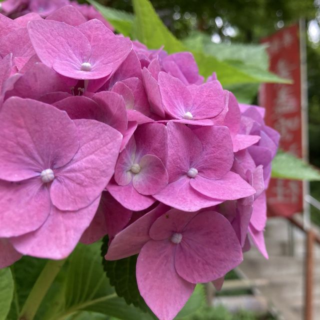 かえる寺❣️しあわせな言葉がたくさん❣️