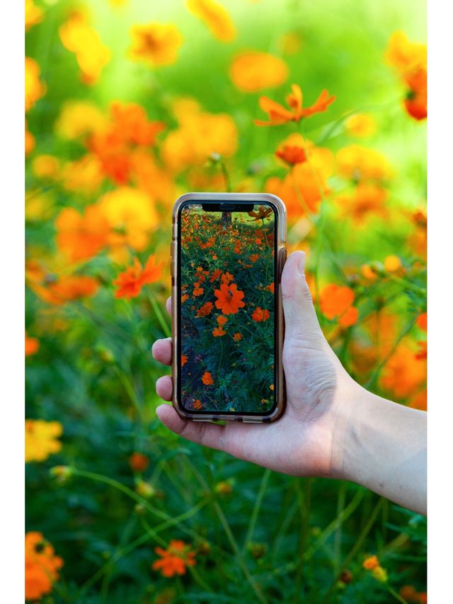 연천 가시면 여기도 가보세요 <댑싸리 공원>