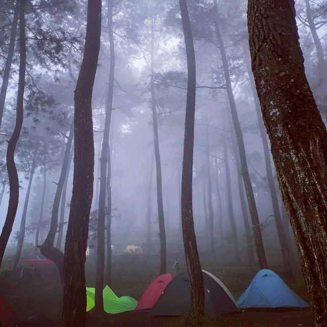 SIKABAYAN HILL - BOGOR