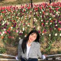 김해 연지공원