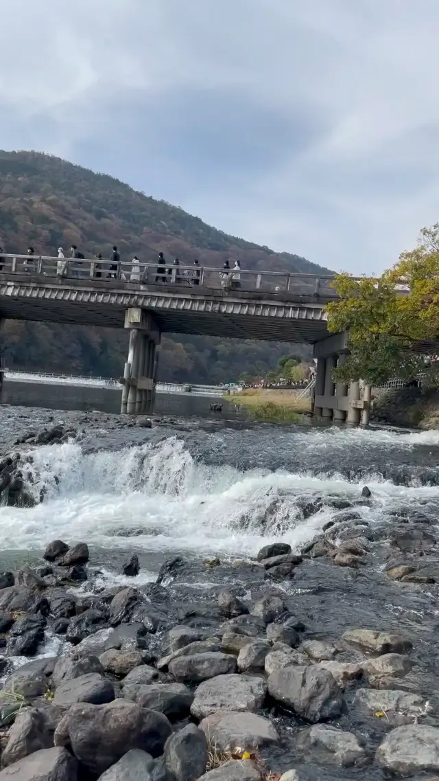 京都渡月橋