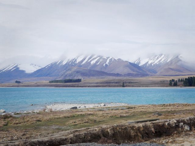 The Icons of South Island, New Zealand