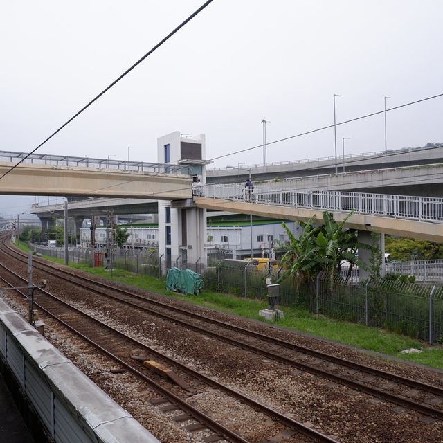 挑戰60公里屯馬單車線 