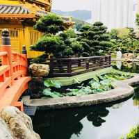 ［🪷南蓮園池🪷］