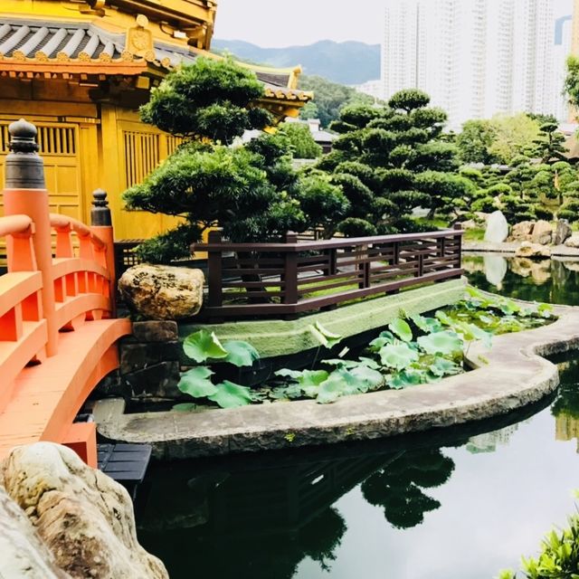 ［🪷南蓮園池🪷］