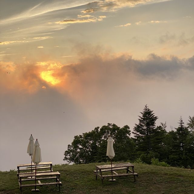 標高1770m！さあ、雲とたわむれよう🌤