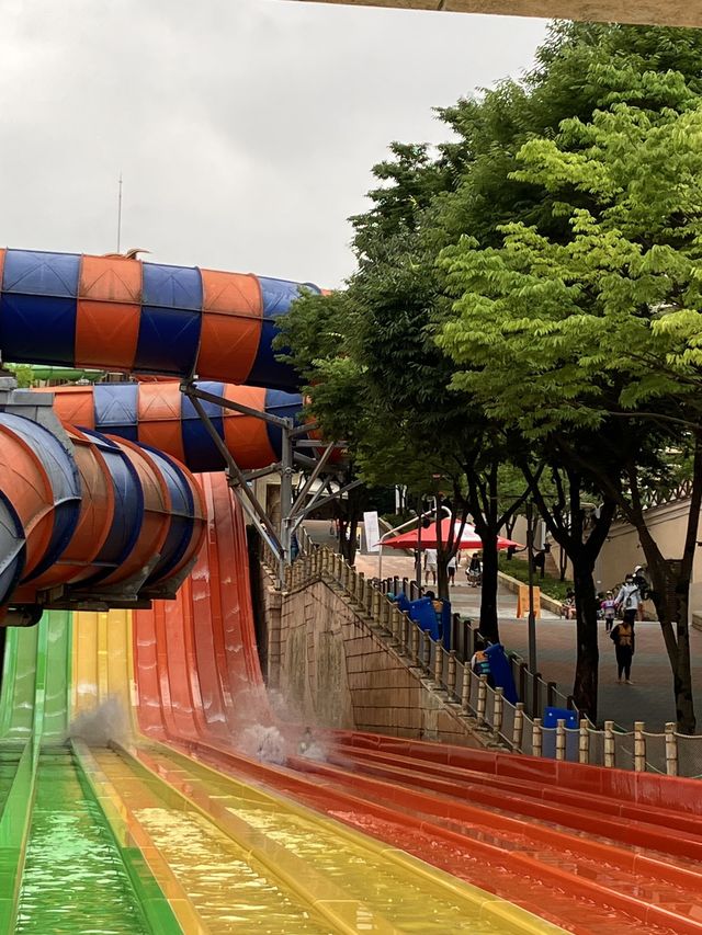 올 여름은 어디? 오션월드로 🏊🏻‍♀️🤿