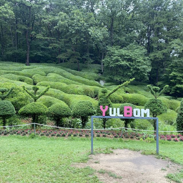 푸릇푸릇 힐링데이트 핫플 , 율봄식물원