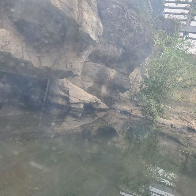 生態之旅 - 香港濕地公園
