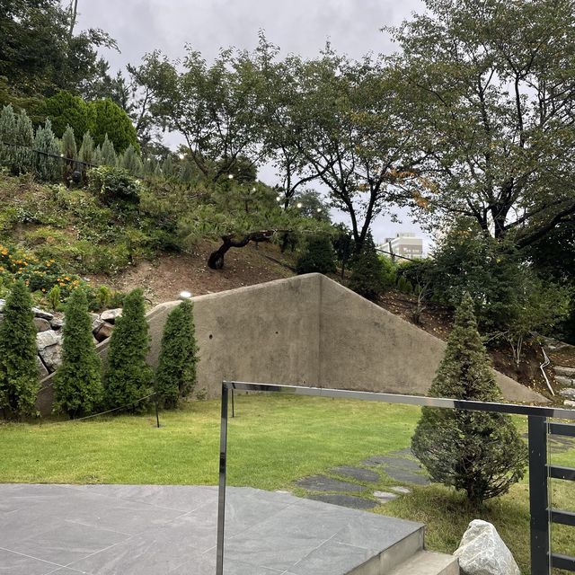갤러리를 방불케하는 울산 레스토랑 부조화숲 🌳