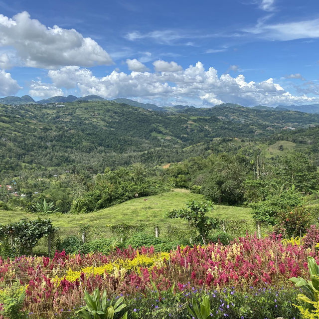 Cebu City Uphill Tour