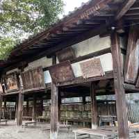 【京都】玉の輿と言えばこちら