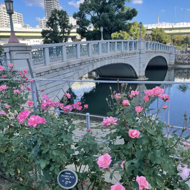 【大阪府】都会のオアシス中之島公園へ！