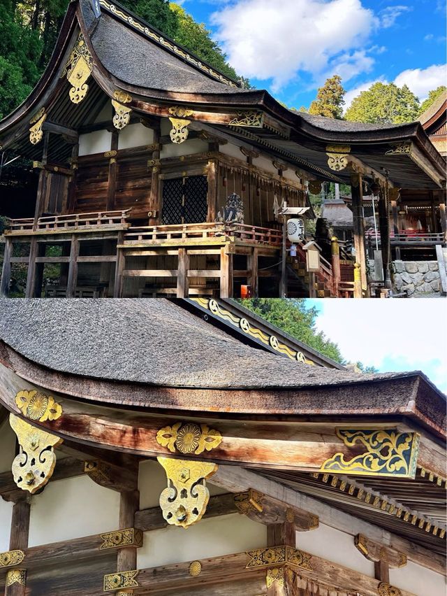 日吉大社大社