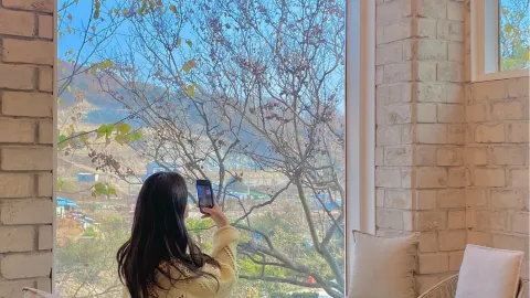 세종 신상카페_델버로🌿 — traveler post in 세종특별자치시