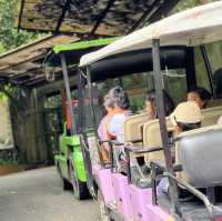  The oldest zoo in Malaysia : Zoo Taiping