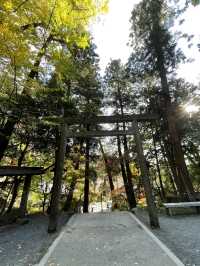 【福岡】九州のお伊勢さん