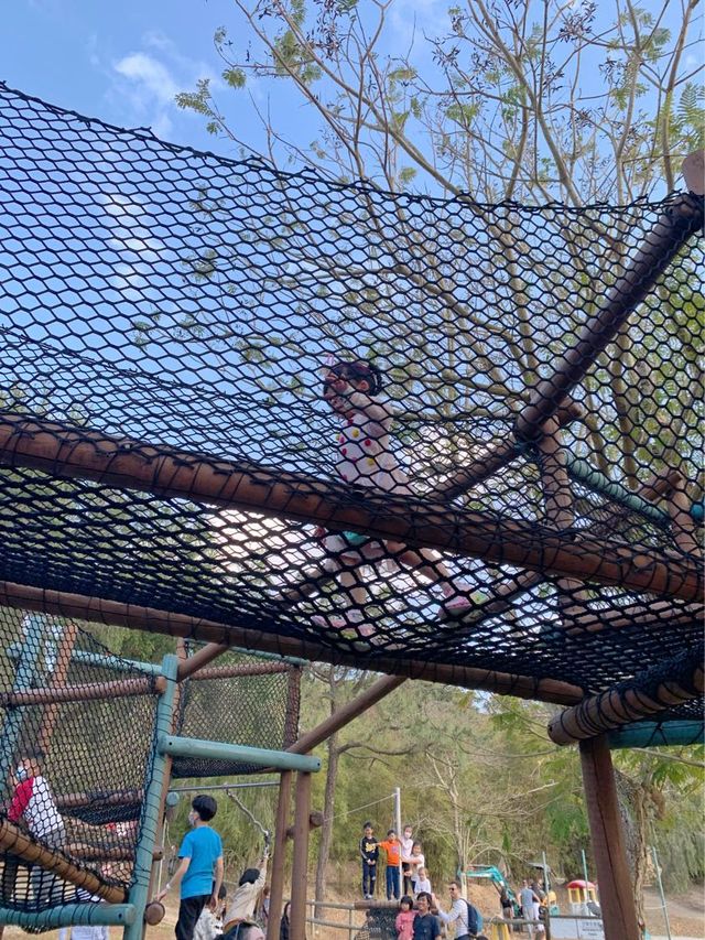 長洲遊 — 親子放電之選 大玩 zipline 繩網陣！