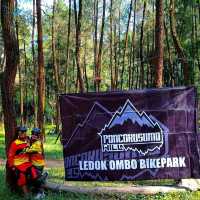 LedokOmbo