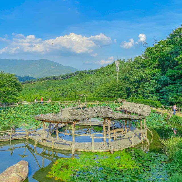 부모님과 산책하기 좋은 산청의 수선사 