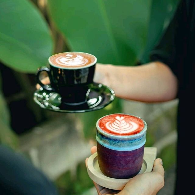 FOREST KOPI FOREST KOPI