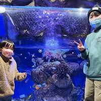 海洋公園化身歐陸風同你過聖誕