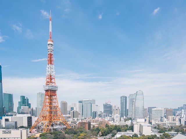 東京タワーがお部屋から見える ザプリンスパークタワー東京