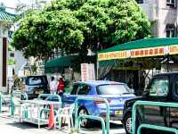 祈福靚境 林村許願樹